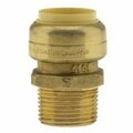 Boshart Plumb Eeze Adapter, 3/4 in, CTS x MPT, Brass, 200 psi Pressure PENL-PFMA07